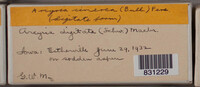 Image Associated With the Occurence